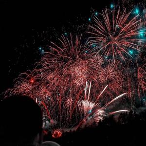 我要看特黄特黄一级片
