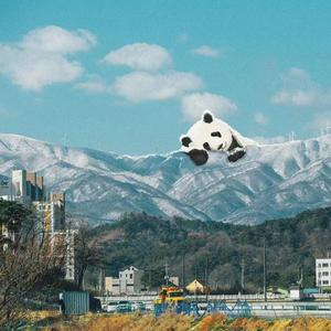 我要看特黄特黄一级片
